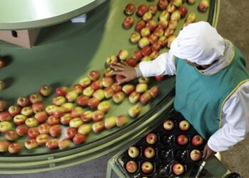 الحجر الزراعي