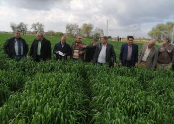 الحقول الإرشادية