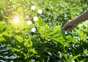 تكنولوجيا النانو