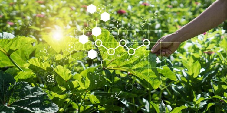 تكنولوجيا النانو