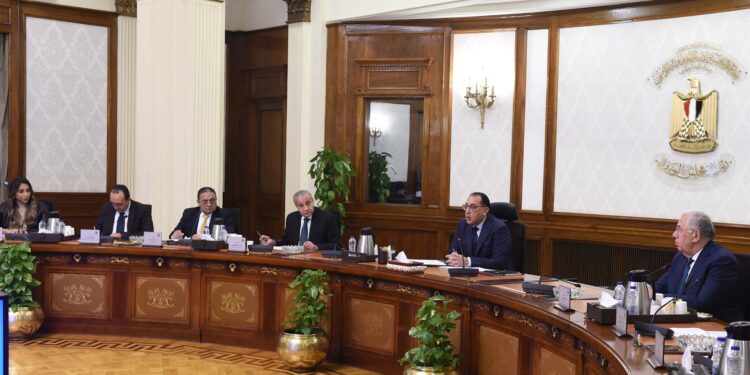 مدبولي: الدولة تستهدف التوسع في زراعة المحاصيل الزيتية وتوطين صناعة الزيوت 1 المحاصيل الزيتية