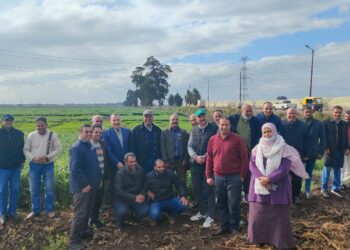 محطة بحوث سخا