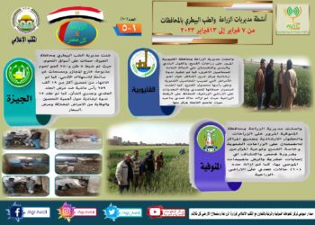 مركز المعلومات الصوتية