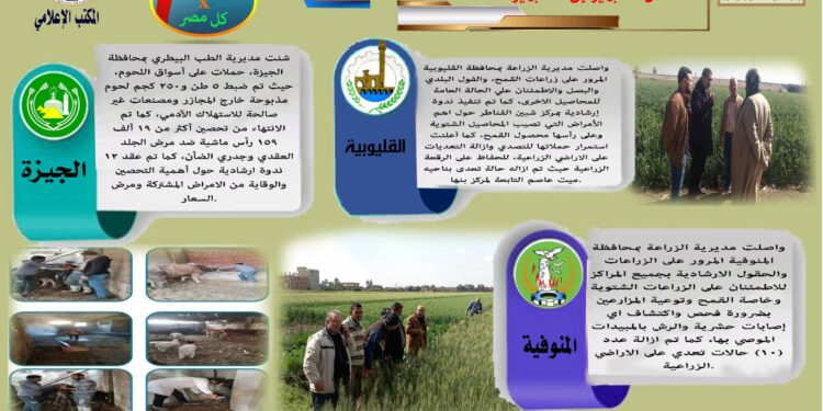 مركز المعلومات الصوتية يصدر النشرة 80 عن أنشطة المديريات 1 مركز المعلومات الصوتية