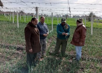 المركزية لمكافحة الآفات