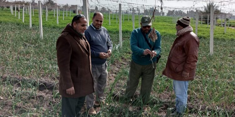 المركزية لمكافحة الآفات