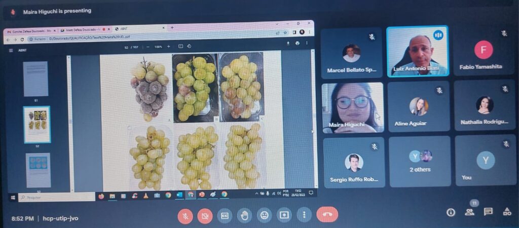 د. يوسف خميس ضمن لجنة مناقشة رسالة دكتوراه في مجال أمراض العنب بجامعة لوندرينا بالبرازيل 5 WhatsApp Image 2023 03 02 at 2.21.17 PM