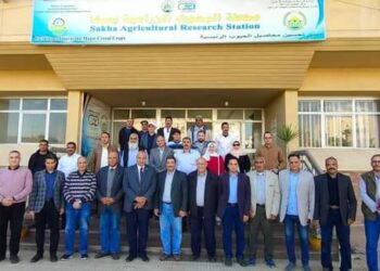 أمراض النباتات