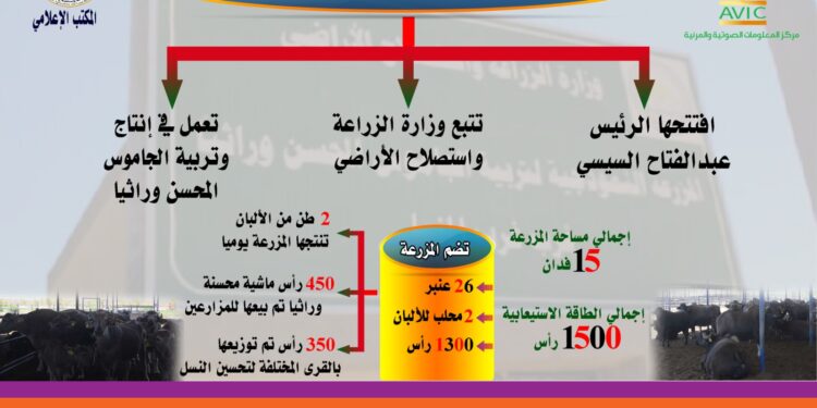 إنفوجراف| تعرف على المزرعة النموذجية للإنتاج الحيواني في غرب غرب المنيا التي افتتحها الرئيس عبدالفتاح السيسي 1 إنفوجراف