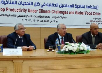 إنتاج المحاصيل الحقلية