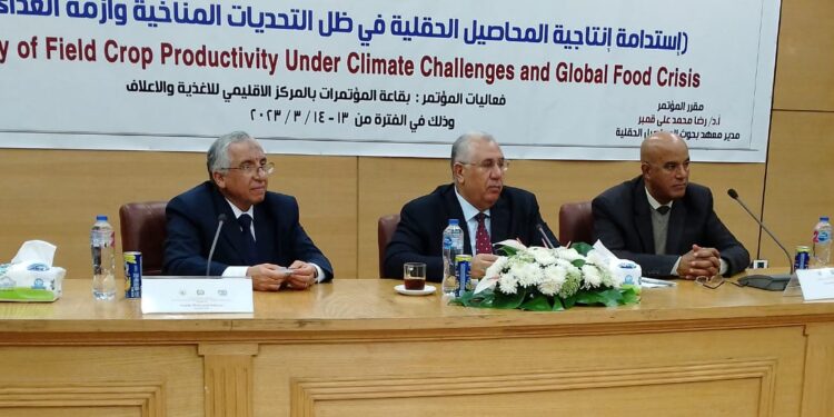 إنتاج المحاصيل الحقلية