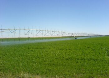 استصلاح الأراضي