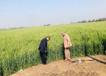 الإصلاح الزراعي