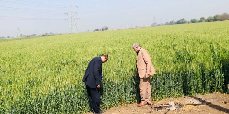 الإصلاح الزراعي