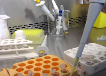 البنك القومي للجينات