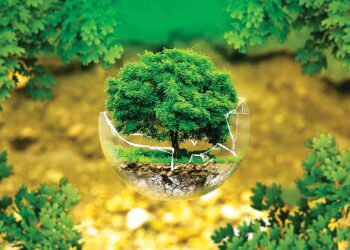 التنمية المستدامة