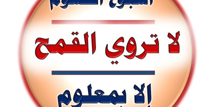 لمزارعي القمح.. تعرف على المواعيد الآمنة للري خلال الأسبوع 1 القمح