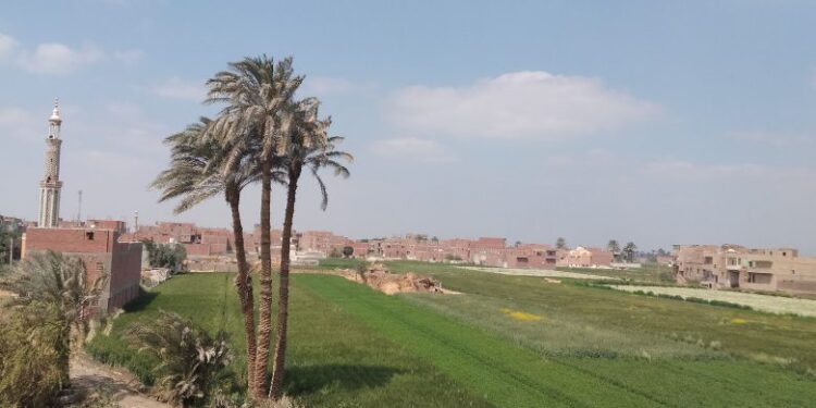 أهم النصائح للمزارعين للوقاية من الكتلة الباردة القطبية 1 الكتلة الباردة
