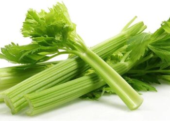 مواد مضافة طبيعية