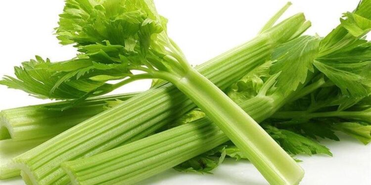 مواد مضافة طبيعية .. باحثة توضح كيفية استخدام الكرفس والمشروم 1 مواد مضافة طبيعية