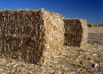 المخلفات الزراعية