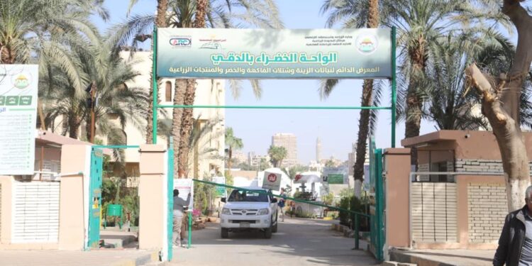 الزراعة: إنشاء المعرض الدائم للزهور والسلع الغذائية ومستلزمات الإنتاج بموقع الدقي للزراعات المحمية 1 المعرض الدائم
