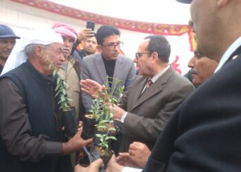 الزراعة: بحوث الصحراء يوزيع 10 ألف شتلة لوز على مزارعي شمال سيناء