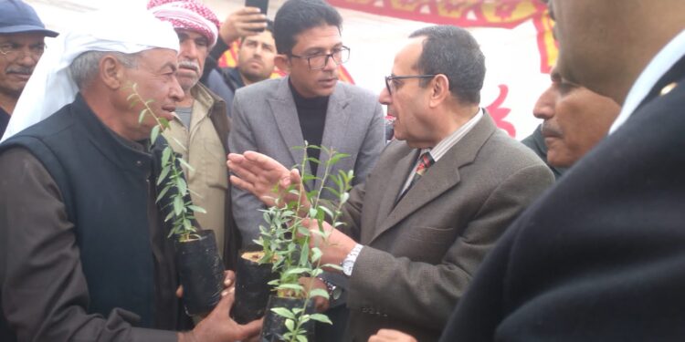 الزراعة: بحوث الصحراء يوزيع 10 ألف شتلة لوز على مزارعي شمال سيناء 1 الزراعة: بحوث الصحراء يوزيع 10 ألف شتلة لوز على مزارعي شمال سيناء