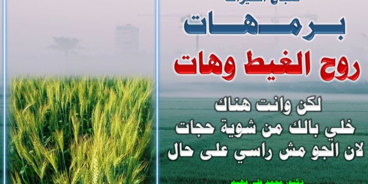 نصائح هامة للمزارعين في نهاية الثلث الأول من برمهات 1 برمهات
