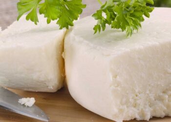 صناعة الجبن داخل المنزل