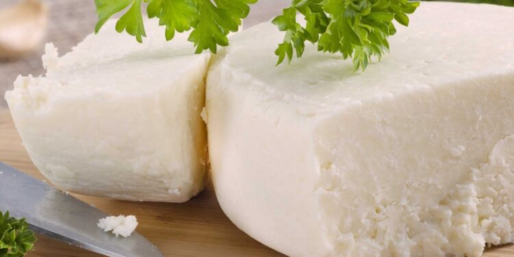 صناعة الجبن داخل المنزل.. تفاصيل مبادرة محطة بحوث السرو وأبرز أهدافها 1 صناعة الجبن داخل المنزل