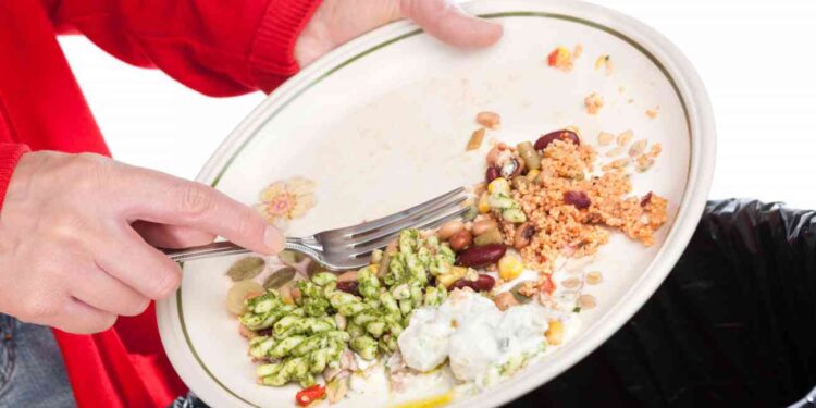 حفظ بقايا الأطعمة.. الطريقة المثلى لـ"الخضراوات" ومخاطر إعادة تسخين "الدواجن والسبانخ" 1 حفظ بقايا الأطعمة