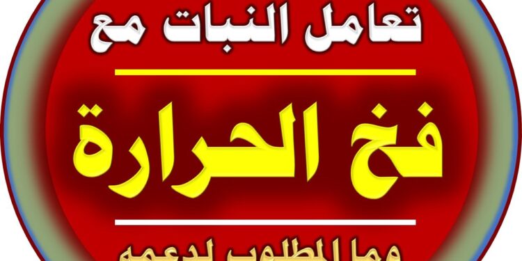 لمواجهة ارتفاع درجات الحرارة.. أهم 8 نصائح للمزارعين 1 درجات الحرارة