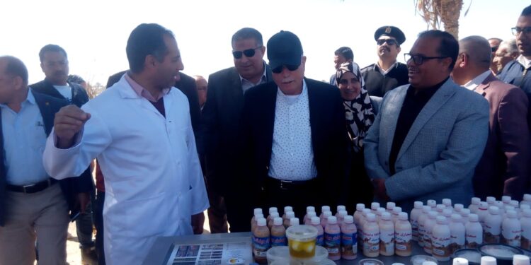 الزراعة: محافظ جنوب سيناء يتفقد أنشطة بمحطة بحوث رأس سدر 1 رأس سدر