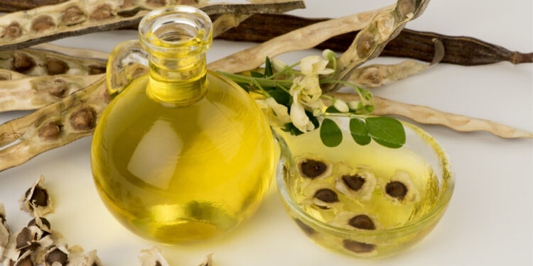 زيت المورينجا.. أحدث الطرق العلمية لزيادة نسبة الإنتاج الكمي 1 زيت المورينجا