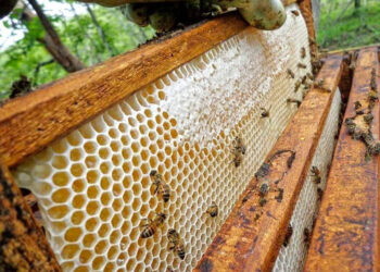 التغيرات المناخية