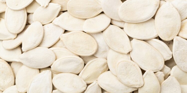 لب الكوسة.. أفضل برنامج لمكافحة "الذبابة الخضراء" والأمراض الفيروسية 1 لب الكوسة