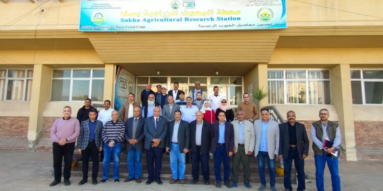 محطة بحوث سخا تستقبل وفدا من البحوث الزراعية وهيئة الطاقة الذرية 1 محطة بحوث سخا