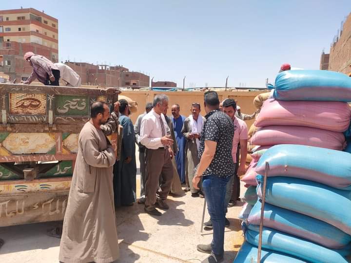نشاط مكثف لزراعة أسيوط لمتابعة موسم حصاد وتوريد القمح 12 أسيوط