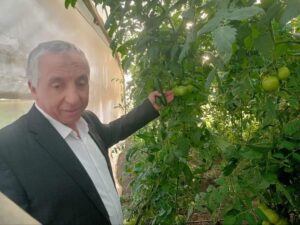 محطة بحوث سخا