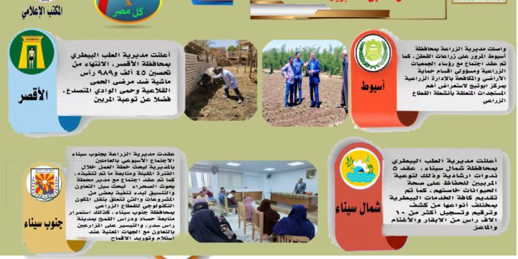 انفوجراف وفيديو.. تعرف على أنشطة وجهود مديريات الزراعة والطب البيطري خلال أسبوع 1 انفوجراف وفيديو.. تعرف على أنشطة وجهود مديريات الزراعة والطب البيطري خلال أسبوع