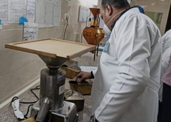 الزراعة تتابع حقول تقاوي المحاصيل الاستراتيجية على مستوى الجمهورية