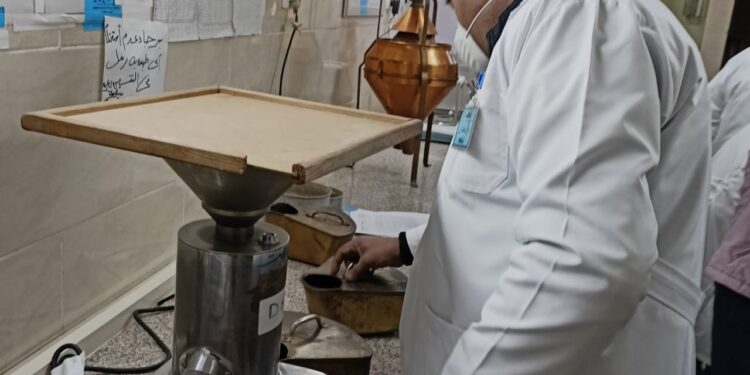 الزراعة تتابع حقول تقاوي المحاصيل الاستراتيجية على مستوى الجمهورية