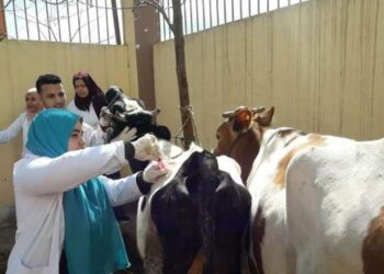 معهد بحوث التناسليات ينظم قافلة بيطرية بشمال سيناء