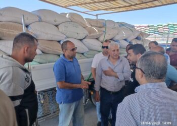 توريد القمح