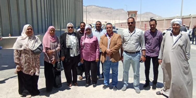 الزراعة تتفقد حقول إكثار تقاوي القمح وتواصل متابعة حصاد وتوريد المحصول 1 القمح