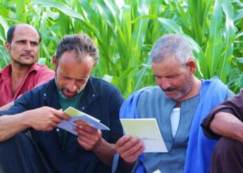 الإرشاد الزراعي .. تطوير مستمر للمطبوعات والنشرات الفنية التوعوية