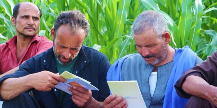 الإرشاد الزراعي .. تطوير مستمر للمطبوعات والنشرات الفنية التوعوية 1 الإرشاد الزراعي .. تطوير مستمر للمطبوعات والنشرات الفنية التوعوية