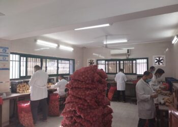 العفن البني