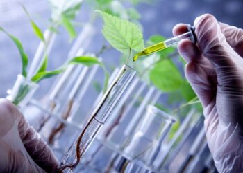 البيوتكنولوجيا النباتية